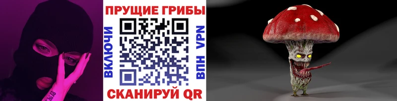 Псилоцибиновые грибы Magic Shrooms  Сосновый Бор 